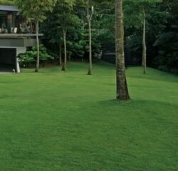 binjai-walk photo thumbnail #7